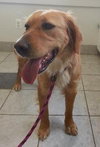 Priscilla & Primrose-ADOPTED 03.02.13