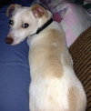 Fred-ADOPTED 05.30.13