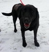 Max â¥-ADOPTED 06.05.13