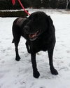 Max â¥-ADOPTED 06.05.13