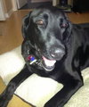 Max â¥-ADOPTED 06.05.13