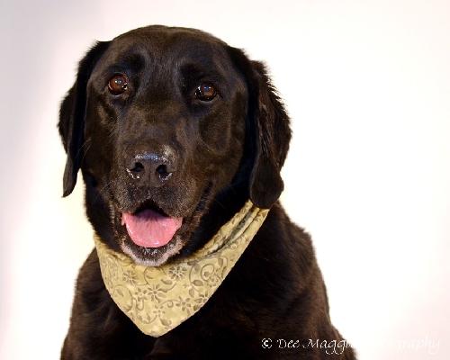 Max â¥-ADOPTED 06.05.13