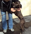Thunder-ADOPTED-4.23.13
