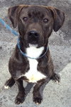 Thunder-ADOPTED-4.23.13
