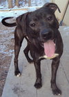 Thunder-ADOPTED-4.23.13