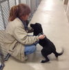 Sunshine-ADOPTED 03.26.13
