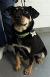 Moses - ADOPTED 03.30.13