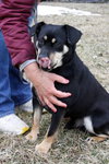 Moses - ADOPTED 03.30.13