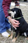 Moses - ADOPTED 03.30.13