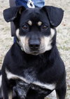 Moses - ADOPTED 03.30.13