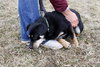 Moses - ADOPTED 03.30.13