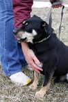 Moses - ADOPTED 03.30.13