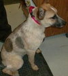 Ionia-ADOPTED 04.13.13