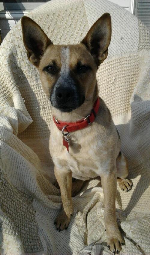 Ionia-ADOPTED 04.13.13