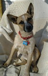 Ionia-ADOPTED 04.13.13