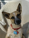 Ionia-ADOPTED 04.13.13