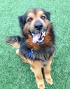 Highlander-ADOPTED 04.17.13