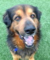 Highlander-ADOPTED 04.17.13