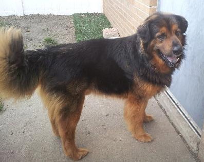 Highlander-ADOPTED 04.17.13