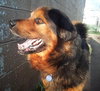 Highlander-ADOPTED 04.17.13
