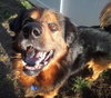 Highlander-ADOPTED 04.17.13