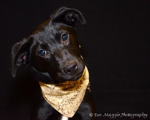 Micah - ADOPTED 04.08.13