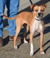 Norah-ADOPTED 04.12.13