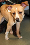 Norah-ADOPTED 04.12.13