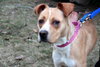 Norah-ADOPTED 04.12.13
