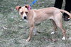 Norah-ADOPTED 04.12.13