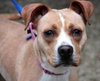 Norah-ADOPTED 04.12.13