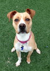 Norah-ADOPTED 04.12.13