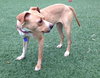 Norah-ADOPTED 04.12.13