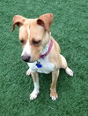 Norah-ADOPTED 04.12.13