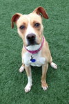 Norah-ADOPTED 04.12.13