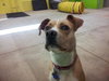 Norah-ADOPTED 04.12.13