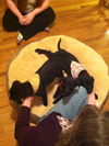 Bh Litter Spring - ADOPTED 03.31.13