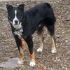 Martini-ADOPTED 06.29.13