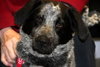 Mendy-ADOPTED 04.13.13