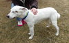 Kerry â¥-ADOPTED 05.29.13