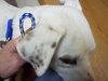 Kerry â¥-ADOPTED 05.29.13