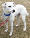 Kerry â¥-ADOPTED 05.29.13