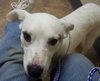Kerry â¥-ADOPTED 05.29.13