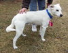 Kerry â¥-ADOPTED 05.29.13