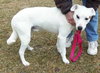 Kerry â¥-ADOPTED 05.29.13