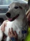 Kerry â¥-ADOPTED 05.29.13