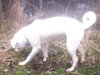 Kerry â¥-ADOPTED 05.29.13