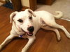Kerry â¥-ADOPTED 05.29.13