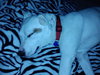 Kerry â¥-ADOPTED 05.29.13