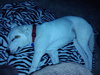 Kerry â¥-ADOPTED 05.29.13